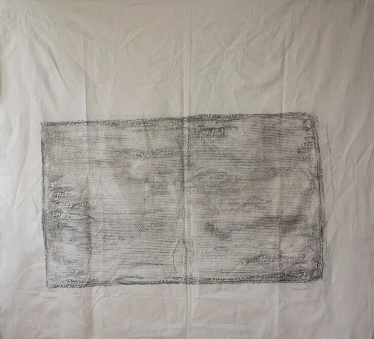 <p>Costal | 1.40 m x .1.25 m | Graphite and colored pencils over cotton | Ximena Labra 2023</p>
