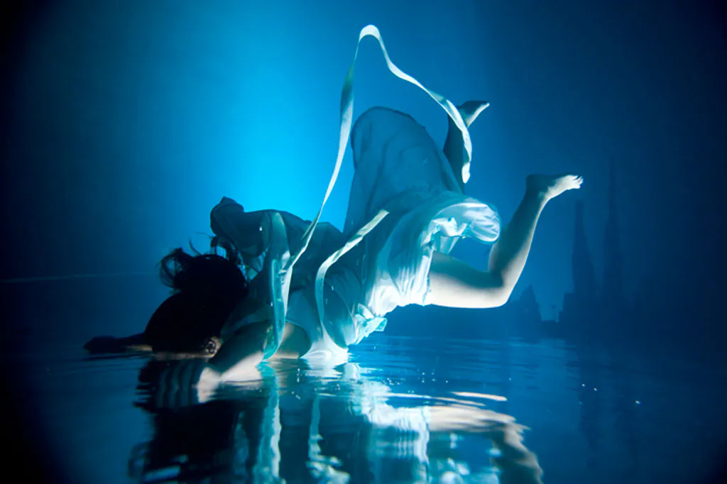 <p>De la serie: Ophelia | 20m x80 cm | 2009</p>
