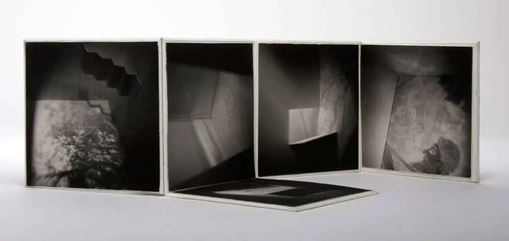 <p>De la serie: La casa de Aasterión</p>
