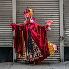 laura-anderson_barbata