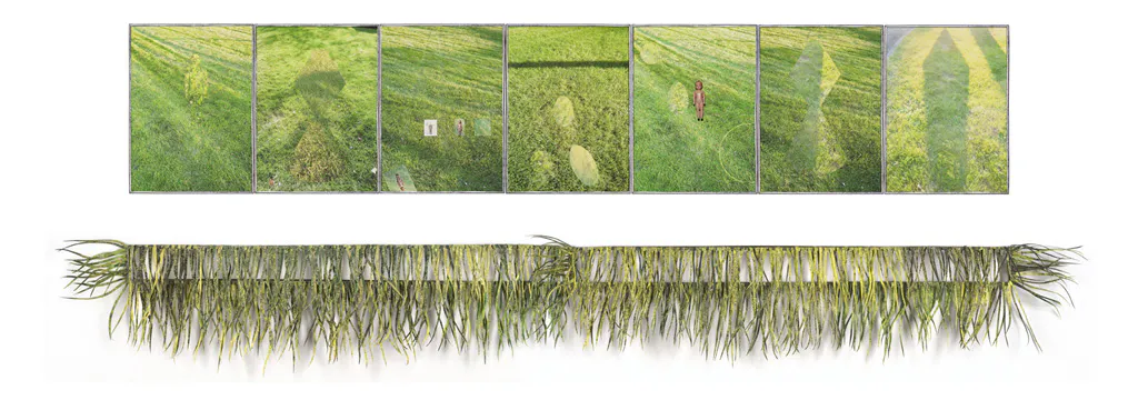 <p>Tantra Verde | Técnica mixta, fotografía digital, plástico, hierro, vidrio, hojalata | 100 x 280 cm. aprox | 2010 - 2012</p>
