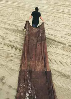 <p>Teresa Margolles: ¿De qué otra cosa podríamos hablar? Bandera Arrastrada. Acción pública en la playa de Lido, Venecia, realizada con telas de sangre recogidas en escenas de ejecuciones en México | Mayo, 2009</p>
