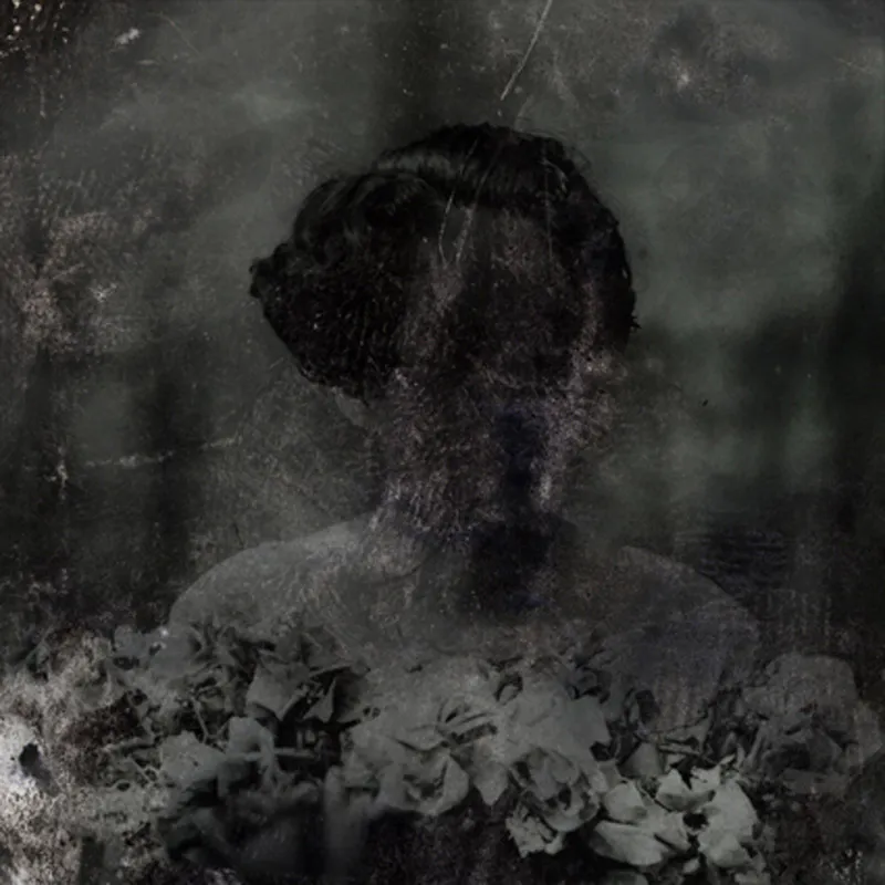 <p>De la serie: Palimpsesto | 2011</p>
