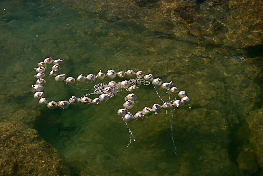 <p>Collar de perlas</p>
