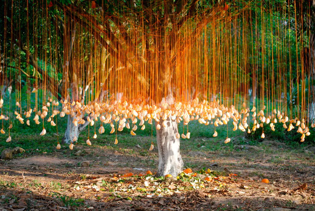 <p>Gajos Místicos | Gajos de mandarina instalados con hilo de nylon en un árbol de mandarina | 6X6X6 mts. | Febrero 2012</p>
