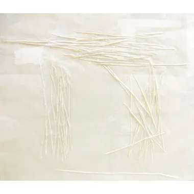 <p>Kantacu | 2008</p>
