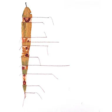 <p>Sin Título | hoja natural, seda, hilo de algodón | 40 x 30 cm | 2007</p>
