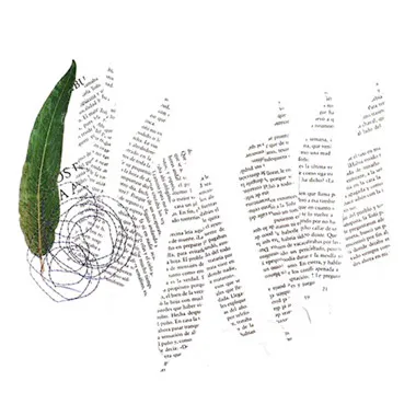 <p>Los valles escritos | hoja natural, recortes de libro, hilo de algodón | 40 x 30 cm | 2007</p>
