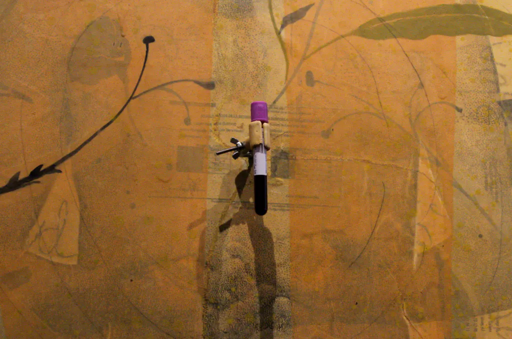 <p>Historias de vida. La sangre se renueva.</p>
