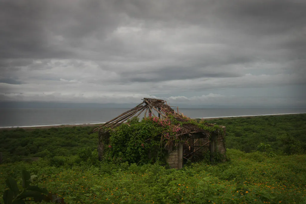 <p>Crónicas del Abandono (2013)</p>
