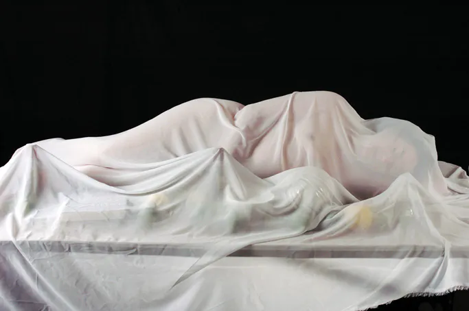 <p>Naturaleza velada I | técnica: piezografía a color en papel de algodón | 2008</p>
