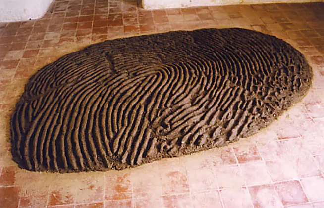 <p>Contenedor modelado por YP, con modificación de hormigas | Contenedor de cera de abeja para miel. 2010. Cera y miel. 10 x 12 x 9 cm - Modificación de hormigas. 7mm de diámetro por 1 cm de profundidad.  Verano del 2020, Winnipeg, Canadá.</p>
