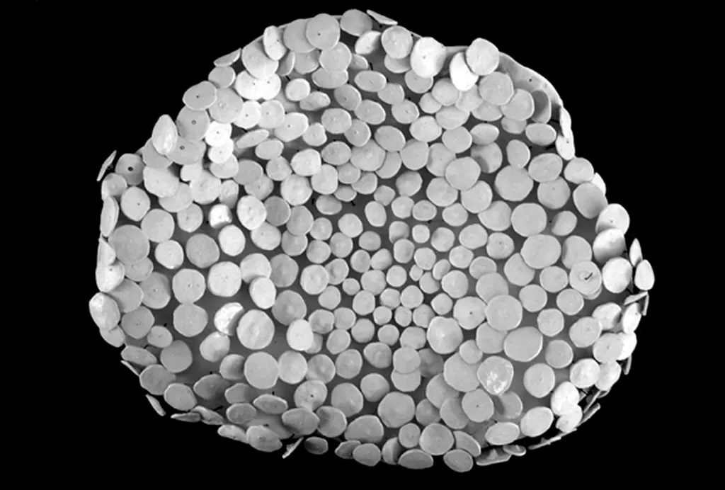 <p>Piezas de Cerámica</p>
