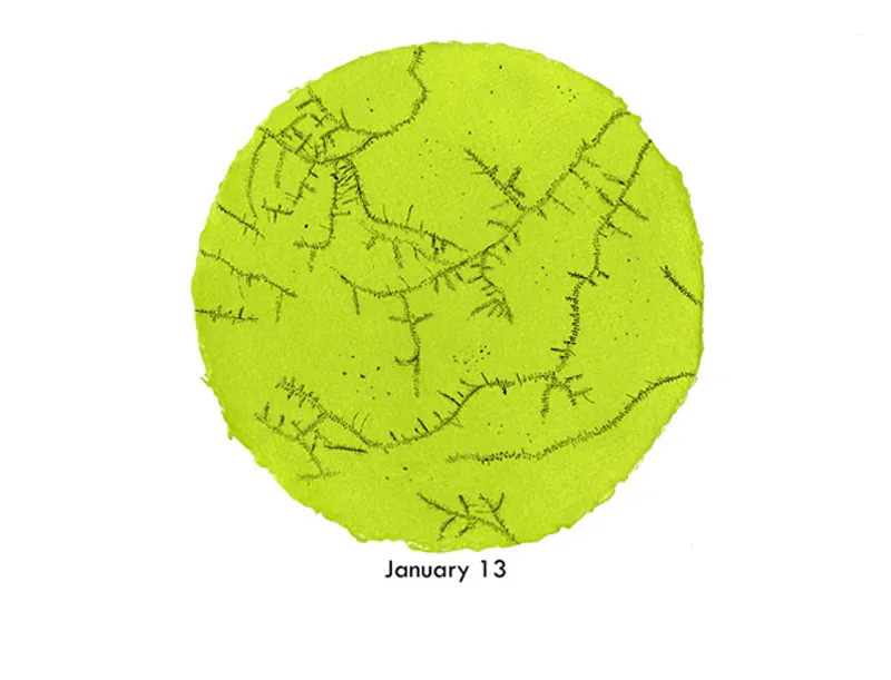 <p>Maybe Mom Ovulation Test: Ovulating | Maybe Mom Ovulation Test: Not Ovulating</p>
