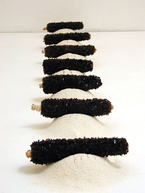 <p>Maz-horcas | Vidrio , silicón, olotes | 30 x 100 x 35 cm | 2003</p>
