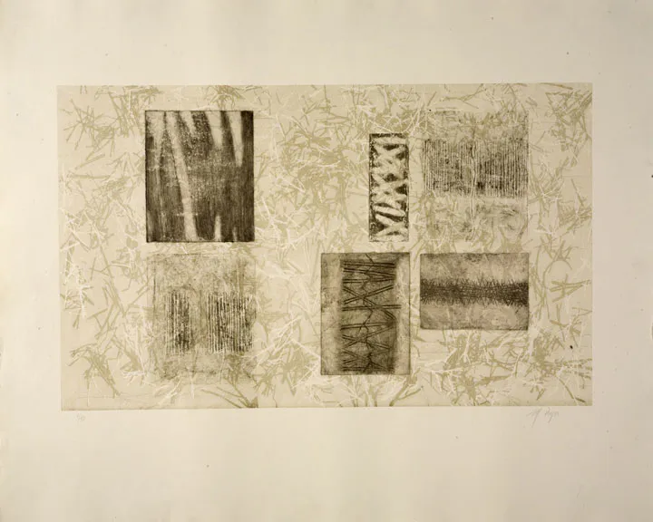 <p>Fragmentos en gris</p>
