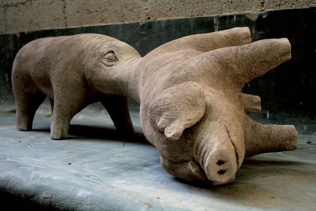 <p>Cerdos | 2010-11 | barro crudo medidas variables | detalle de instalación</p>
