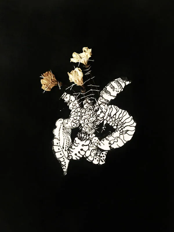 <p>Abelia Cella, Serie Syllabus Florum qui non sunt (Catálogo de flores que no existen), Libro de artista y ensamble orgánico (cera de abeja, flores, celulosa bacteriana/caja), 2019. Proyecto desarrollado en la residencia artística Air-Montreux, Suiza. Fotografía: Iván Castaneira</p>
