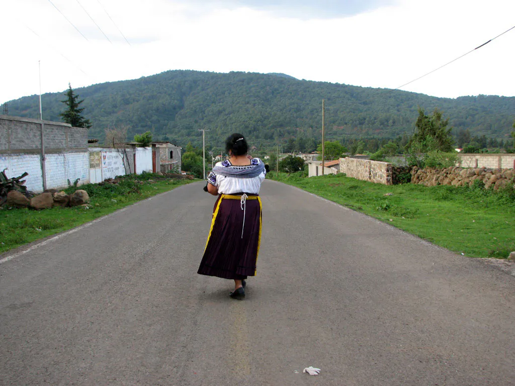 <p>En el Camino (Guadalupe)</p>
