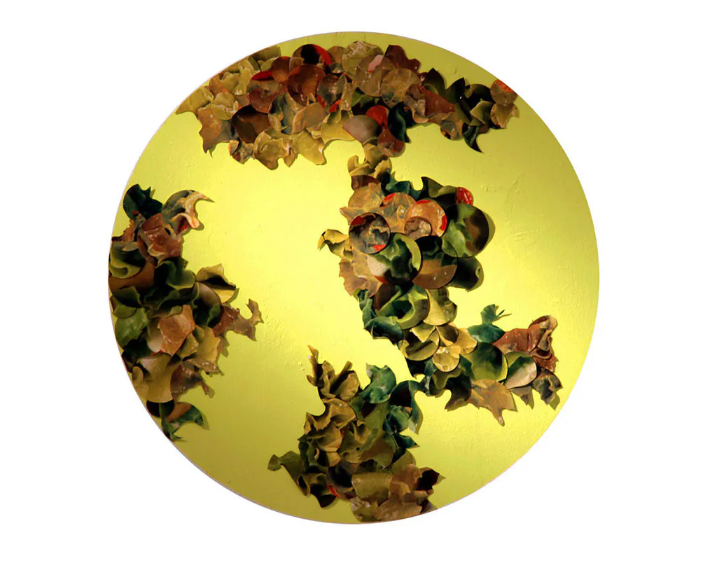 <p>Universo Verde Fragmentos de lona de anuncios de franquicia de comida rápida y pintura acrilica | 1m de diámetro | 2010</p>
