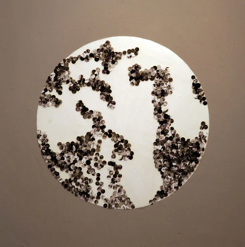 <p>Lustro I | Hojas de contacto, chaquira, hilo y plástico transparente y pintura | 90cm de diámetro | 2010</p>
