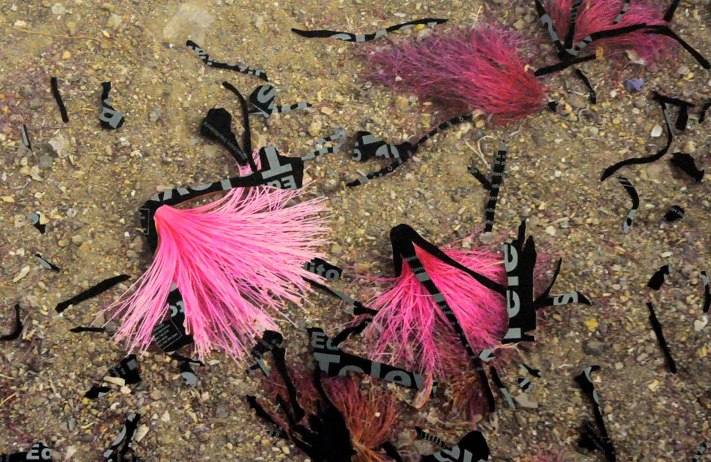 <p>Cocuche televisa I,II,III y IV | De la serie: Bótanica: nuevas especies | Fotografía intervenida | 50x70cm | 2012</p>
