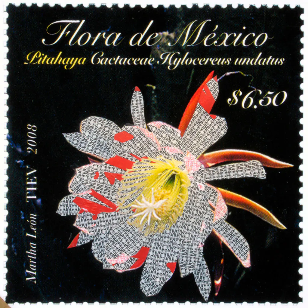 <p>Hylocereus H&M |Collage | 68.5 x 68.5 cm | 2013</p>
