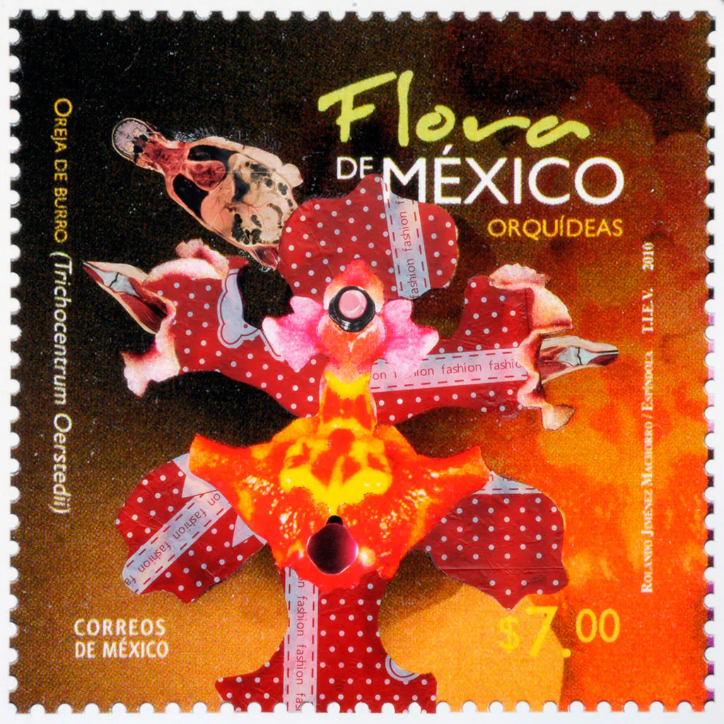 <p>Oerstedii Fashion |Collage | 68.5 x 68.5 cm | 2013</p>
