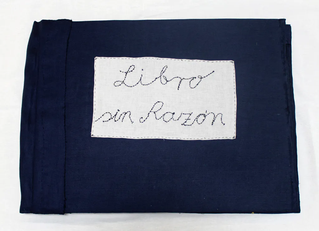 <p>Libro sin Razón, 2014 | 80 x 100 cm | hilo y lino</p>
