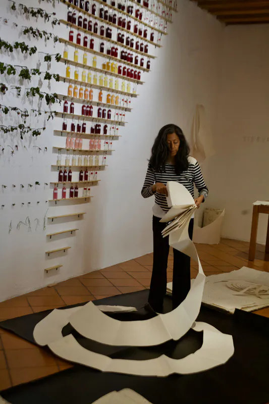 <p>Encierro Solar. Arte de proceso</p>
