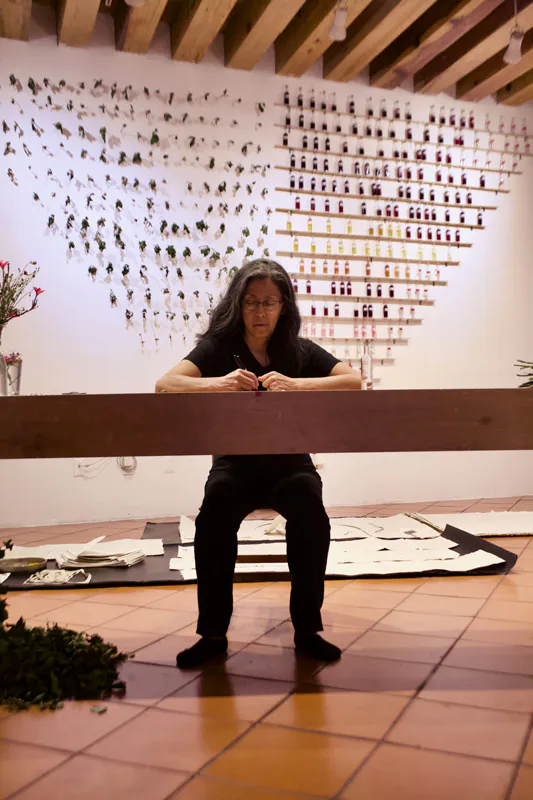 <p>Encierro Solar. Arte de proceso. 20 días (210 horas)</p>
