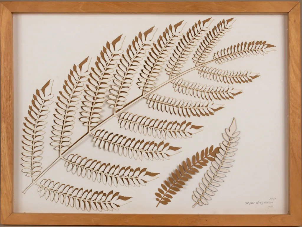 <p>Helecho | papel cortado por laser | 48x63.5x4.5cm | 2011</p>
