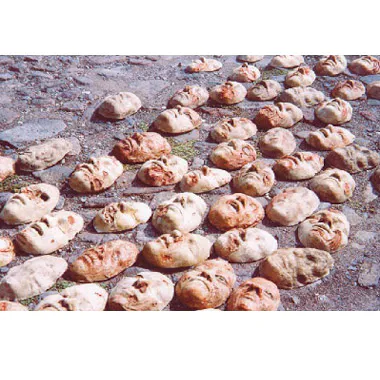 <p>Así se construye la democracia? | instalación del colectivo Malaleche | vaciados en resina poliéster | San Miguel de Allende, Gto. | 2006</p>
