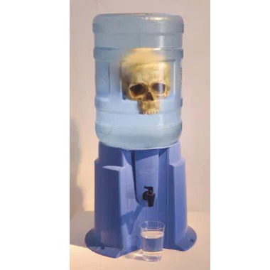 <p>En el Bravo | de la serie: Muerte por agua | colectivo Malaleche | vaciado en resina y garrafón | 65x30 cm. | 2006</p>
