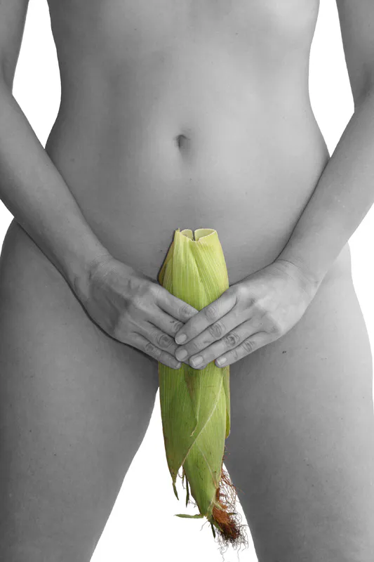 <p>De la serie: La boda del maíz | 2010</p>
